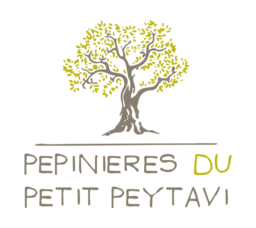 logo Pépinière du Petit Peytavi