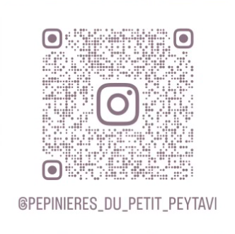qr code Instagram